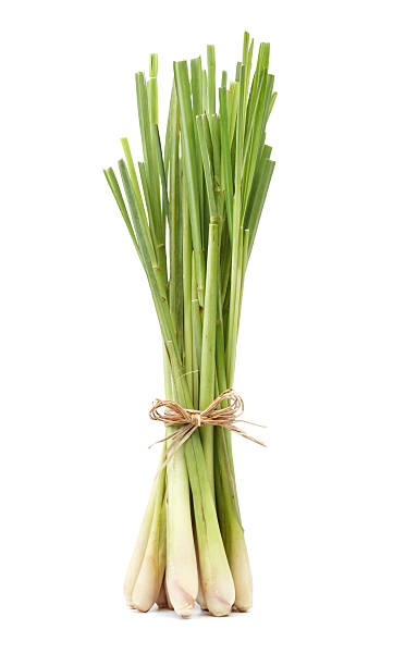 Lemon Grass - 100g
